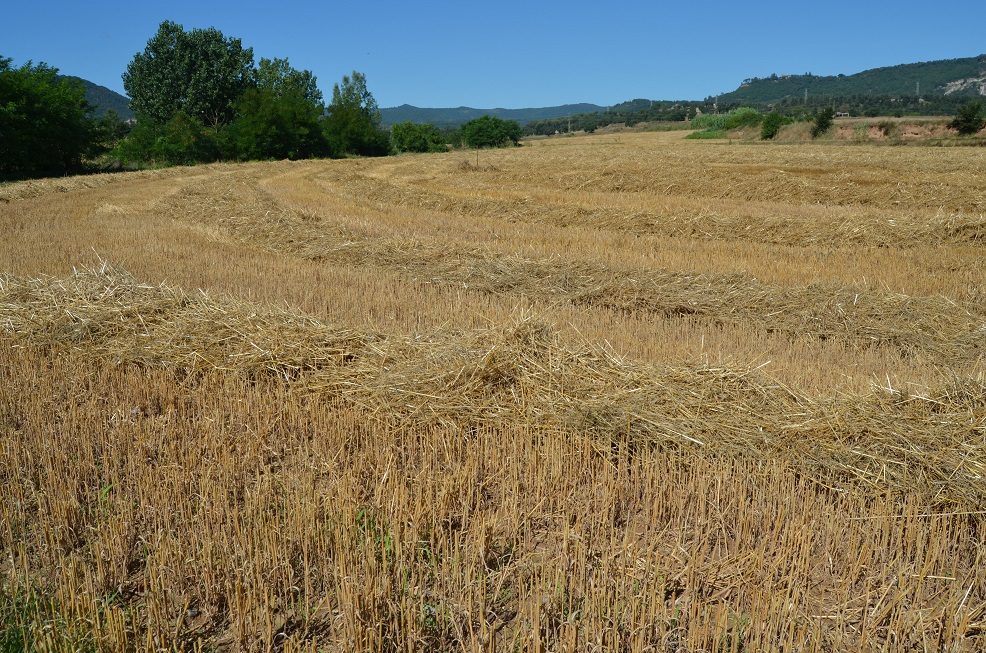 No s'ha trobat l'arxiu